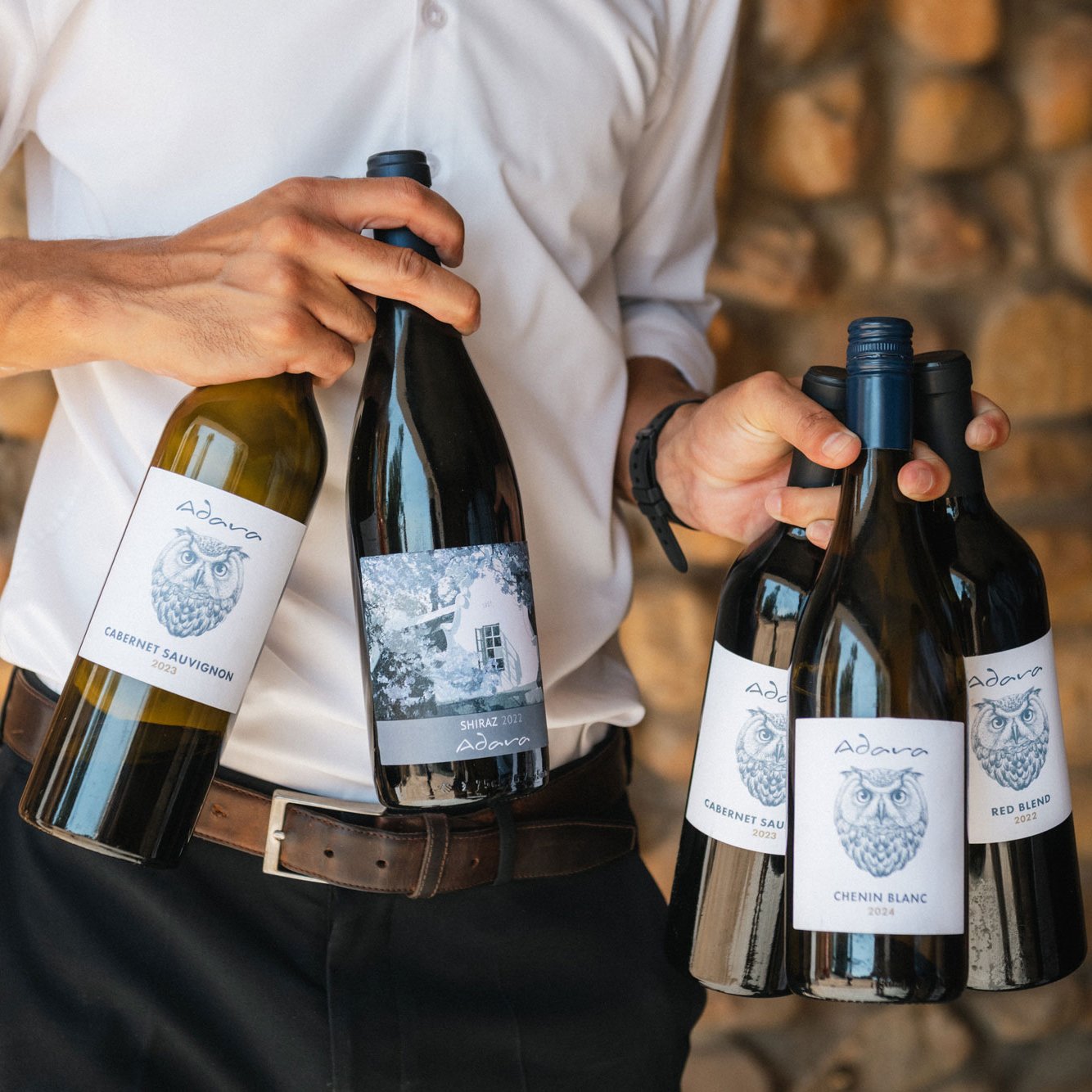 Shiraz 2022 - Image 3